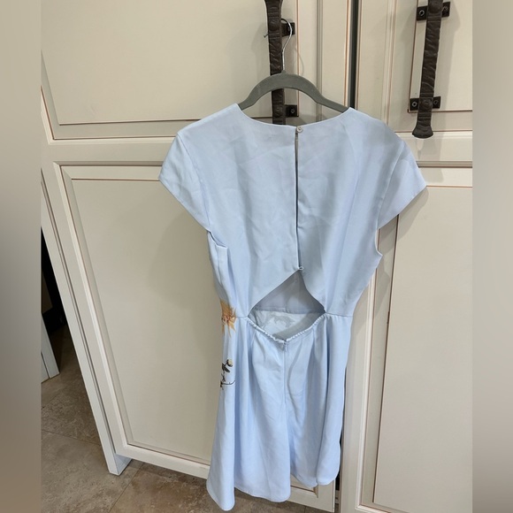 Aritiza Babaton Hamptons Mini Dress (D10) - Picture 6 of 9